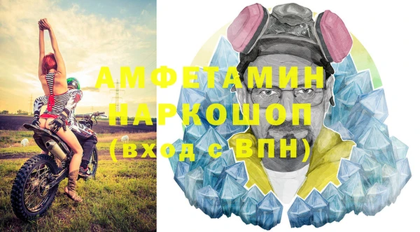 молекула духа Вязьма