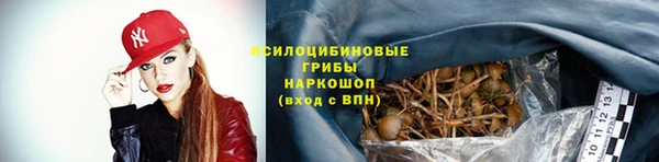 Альфа ПВП Вязники