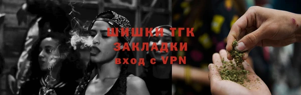 молекула духа Вязьма