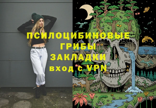 молекула духа Вязьма