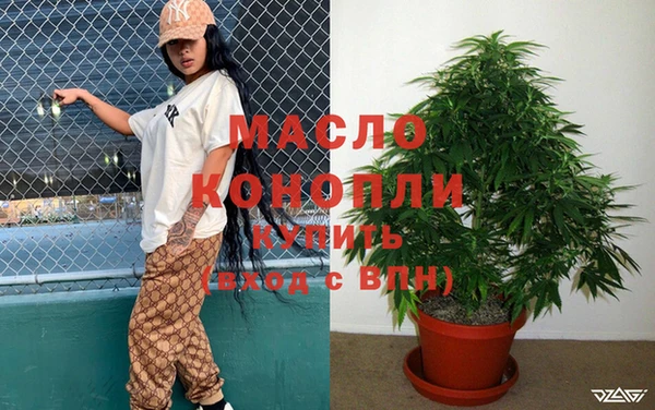 молекула духа Вязьма