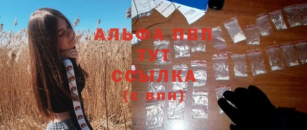 молекула духа Вязьма