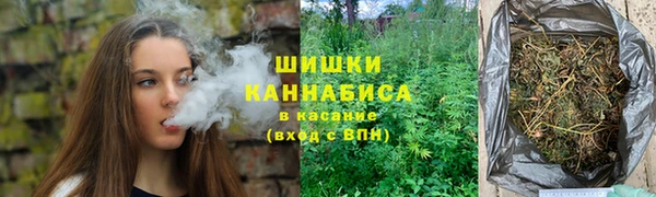 молекула духа Вязьма