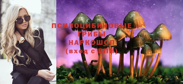 Альфа ПВП Вязники