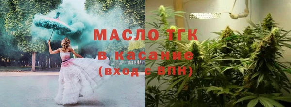 молекула духа Вязьма