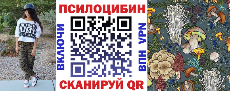 Псилоцибиновые грибы GOLDEN TEACHER  MEGA tor  Чекалин 